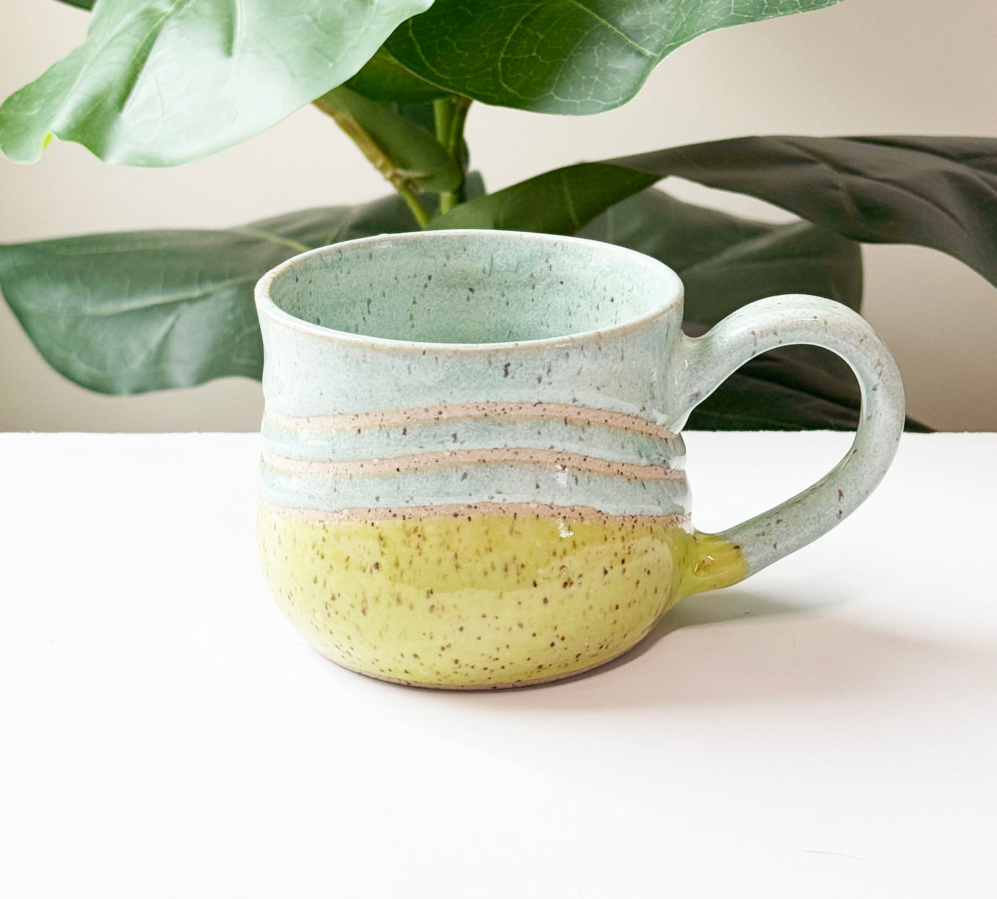 Envy Mug