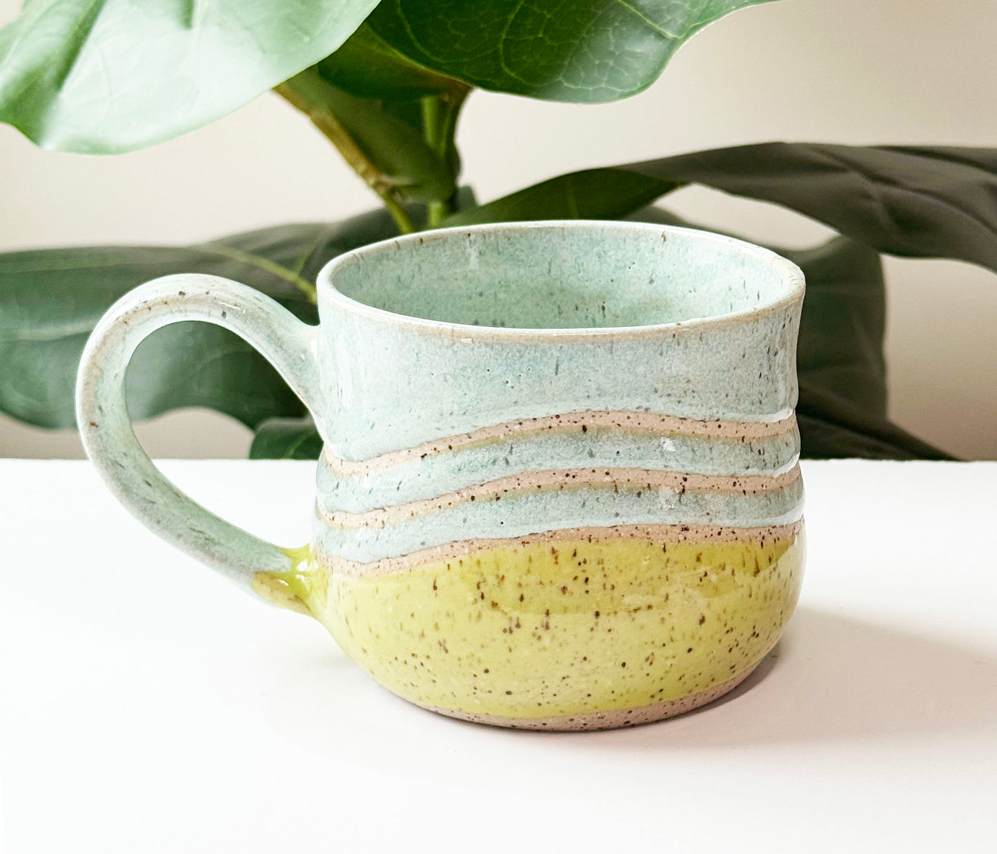 Envy Mug