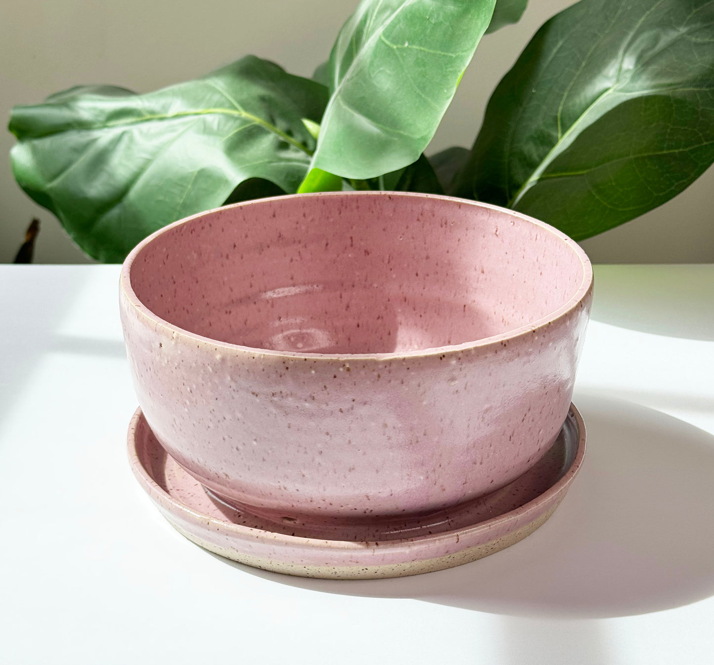 7 in Magenta Planter