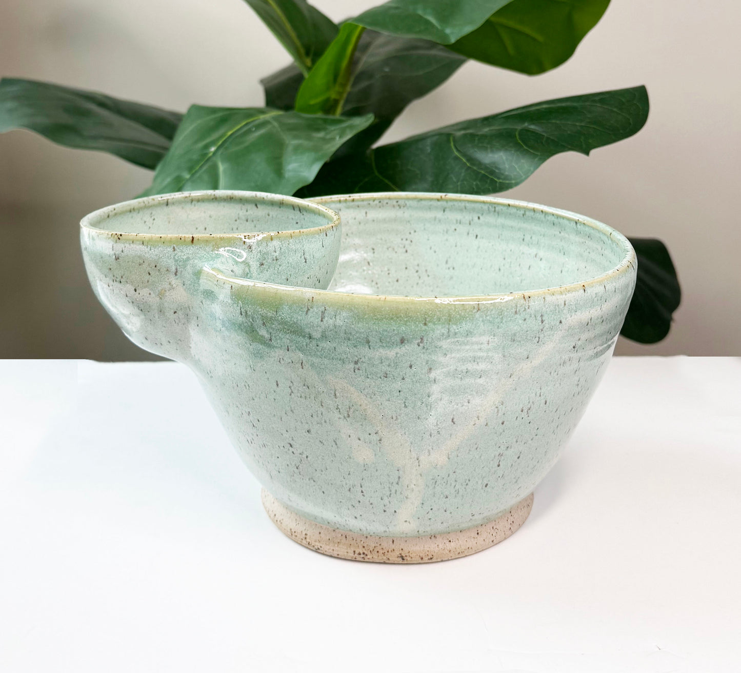 Plain Chip & Dip Bowl Preorder