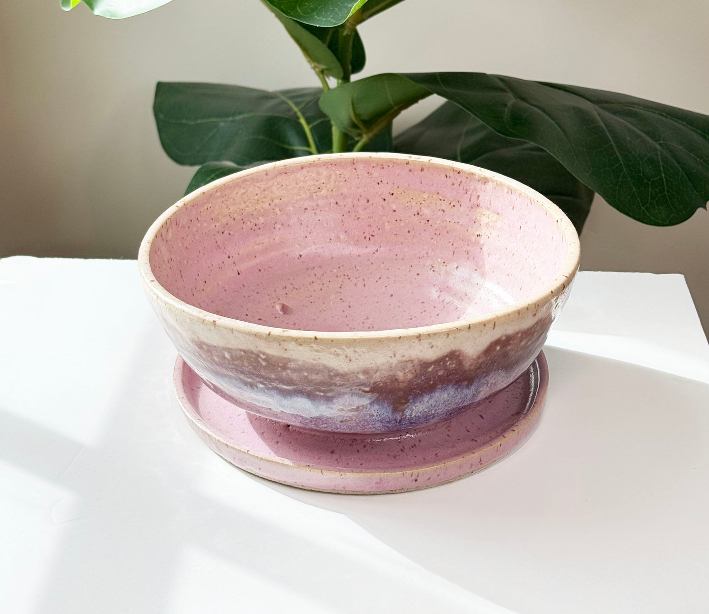 Purple Haze Planter