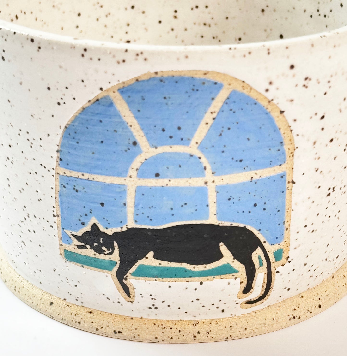 Large Window Cat Mug