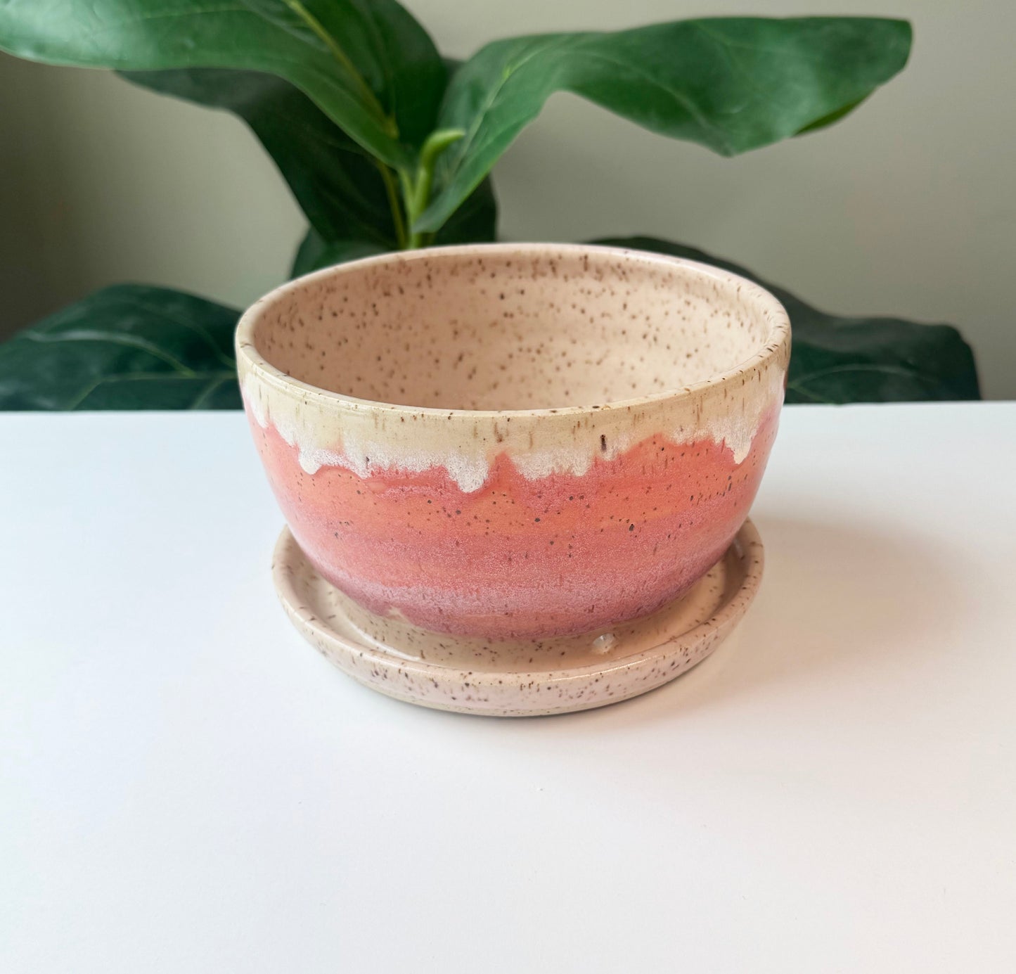 2 Tone Pink Planter