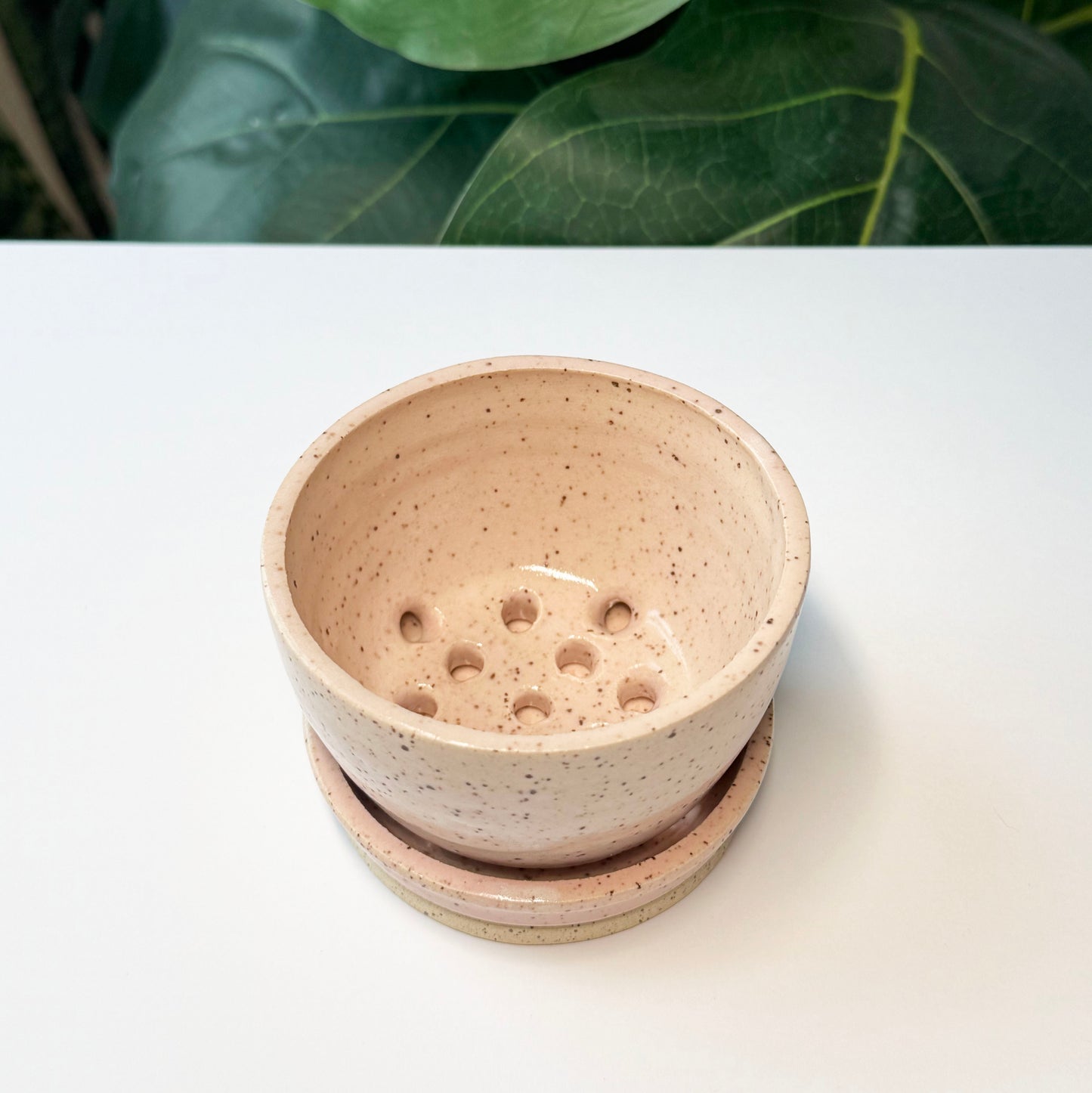 Single Serving Berry Bowl & Saucer