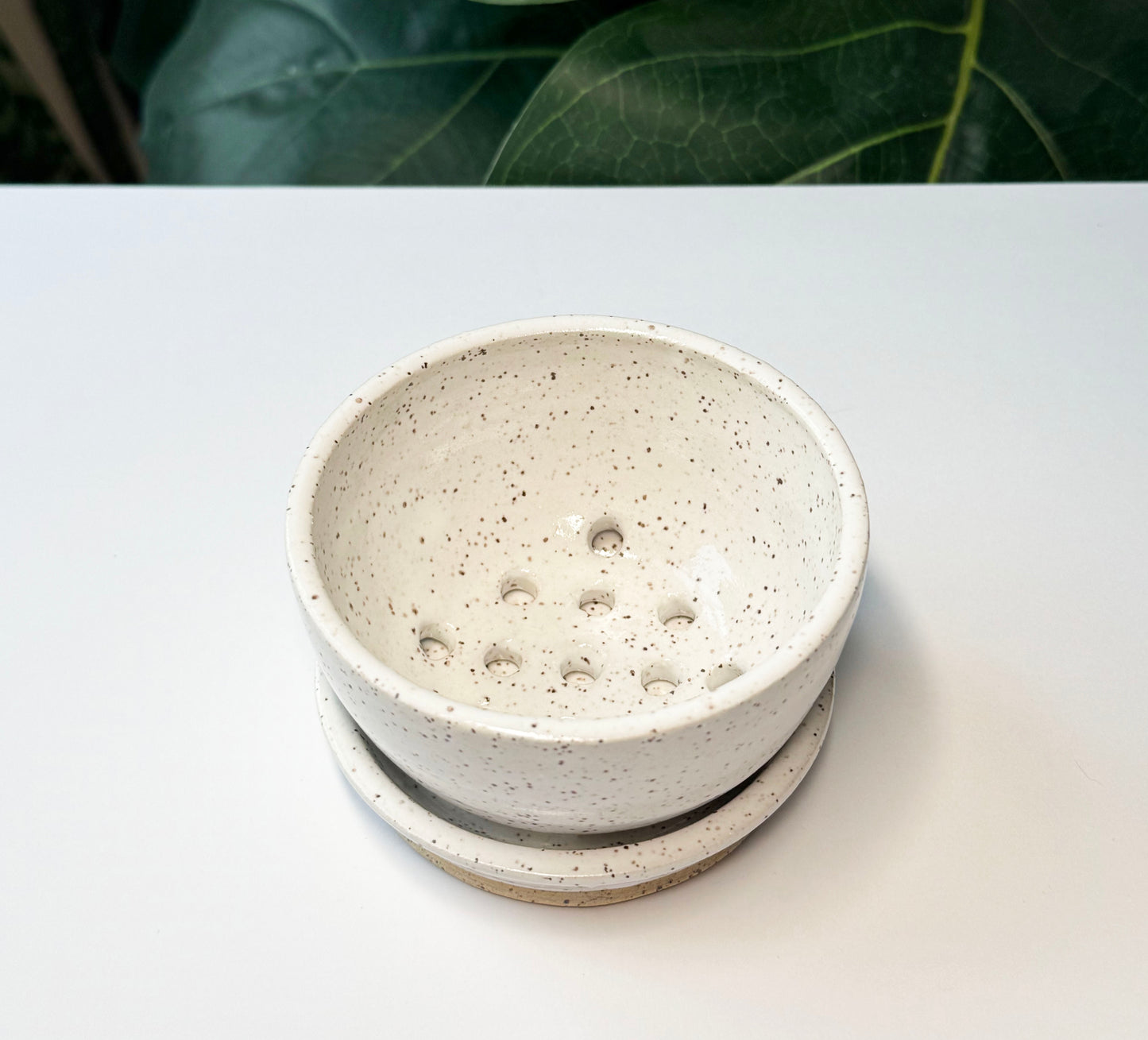 Single Serving Berry Bowl & Saucer