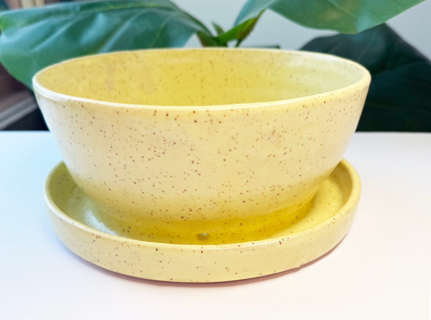 7 in Butter Yellow Planter