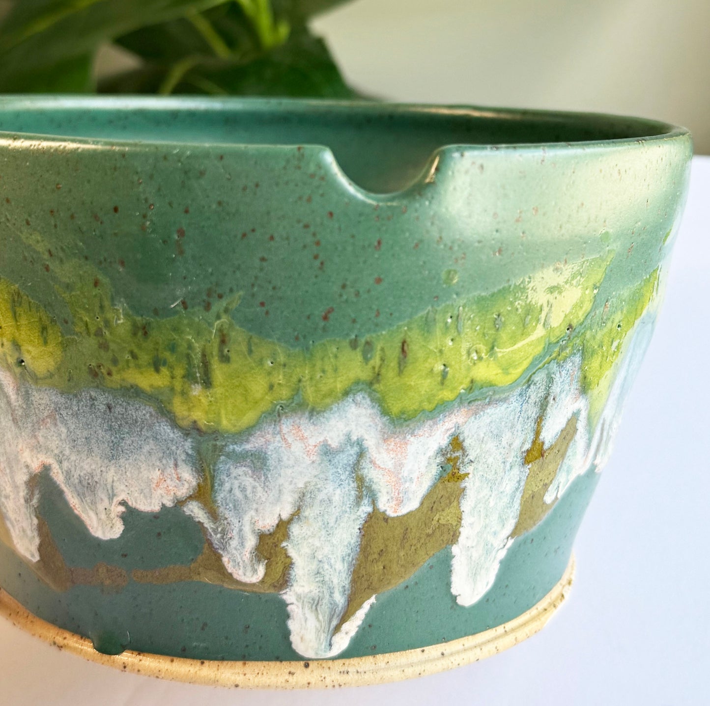 Evergreen Ramen Bowl