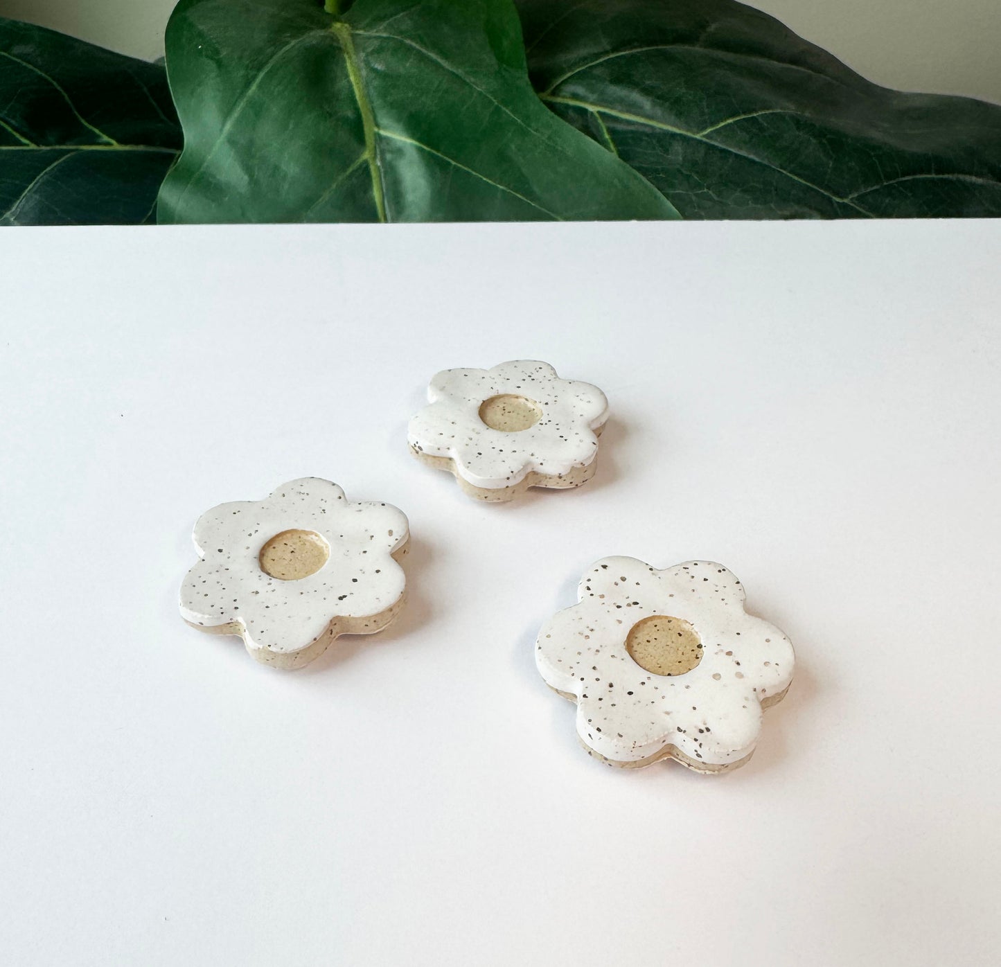 Ceramic Magnets