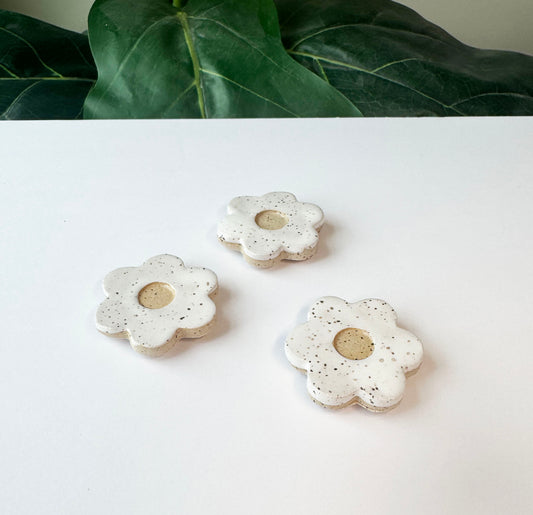 Ceramic Magnets