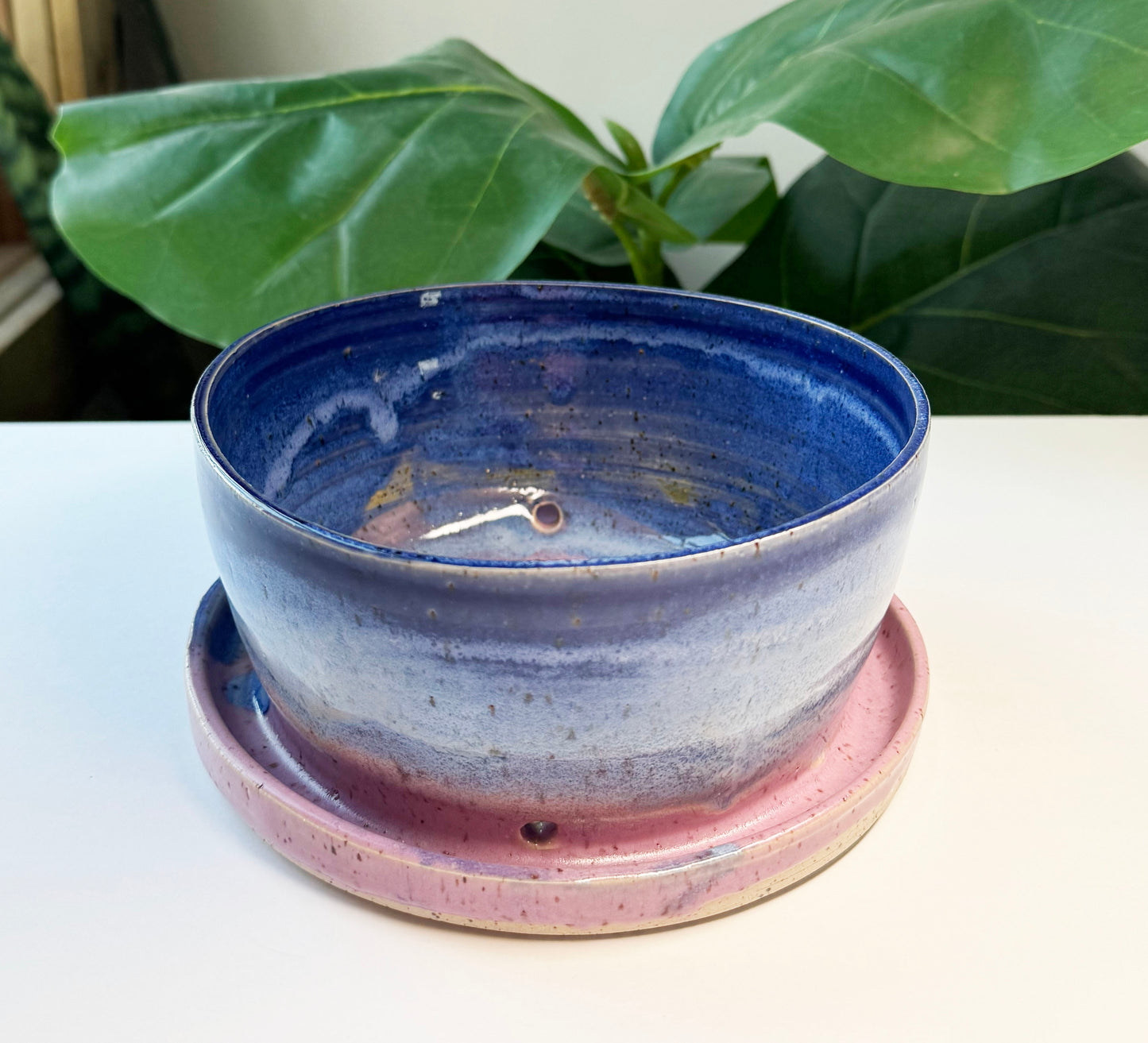 7 in Jelly Donut Planter