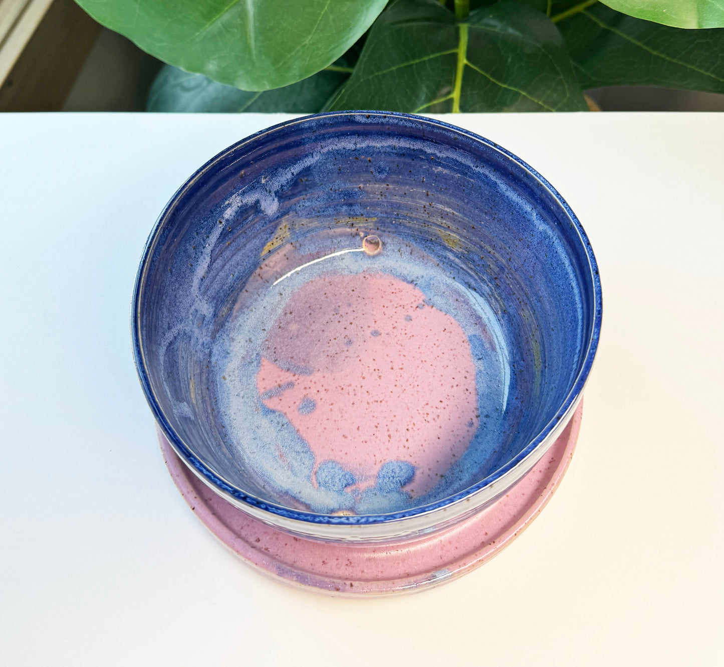 7 in Jelly Donut Planter