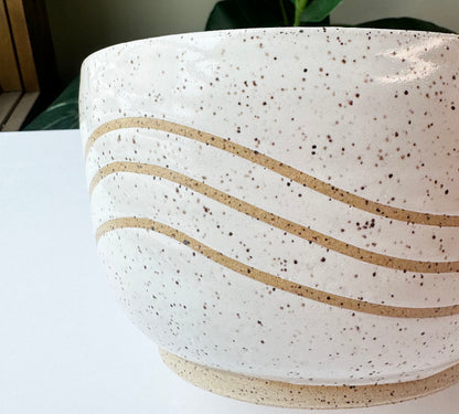 Lined dinner Bowl