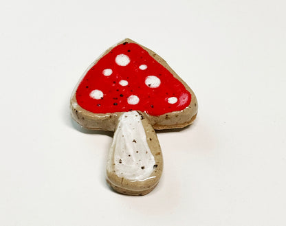 Ceramic Magnets