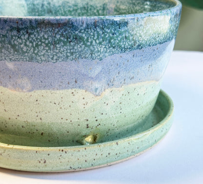Ocean Planter
