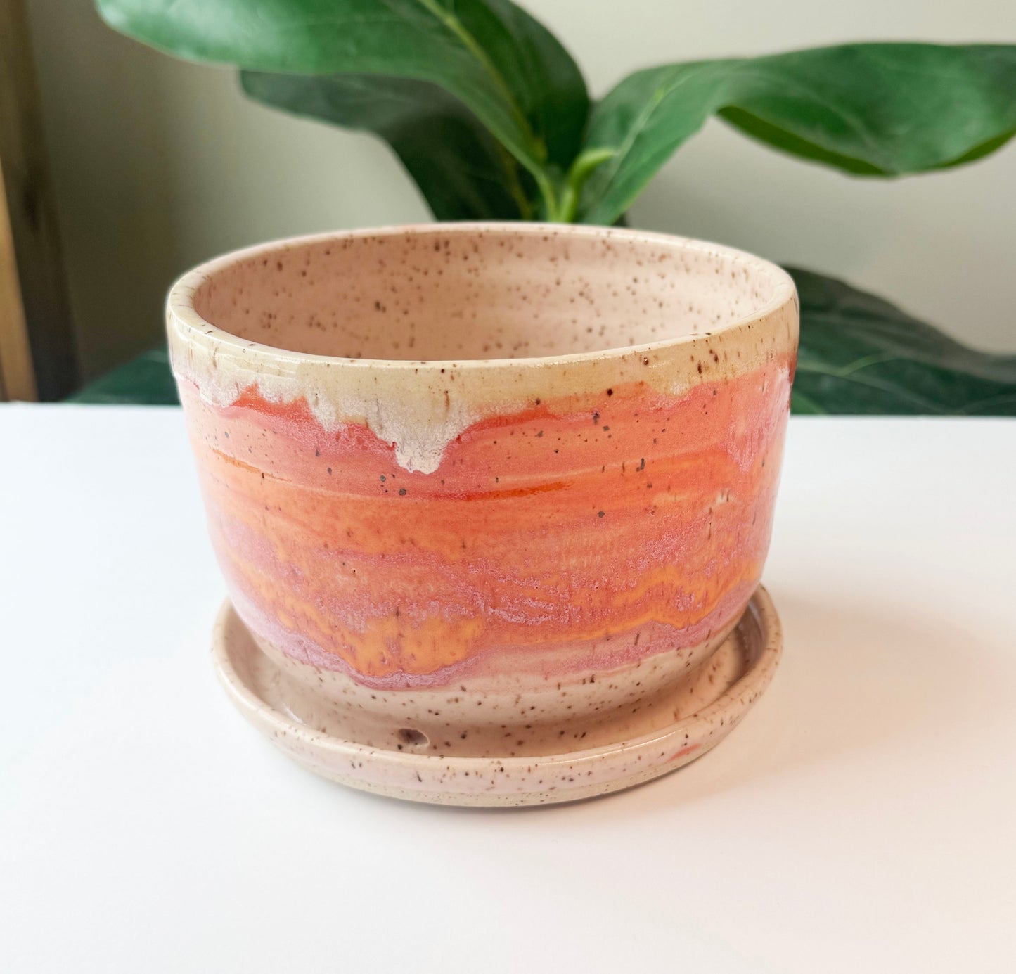 Passionfruit Planter