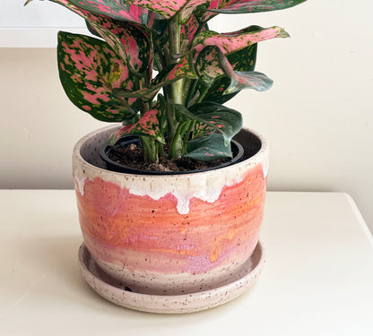 Passionfruit Planter