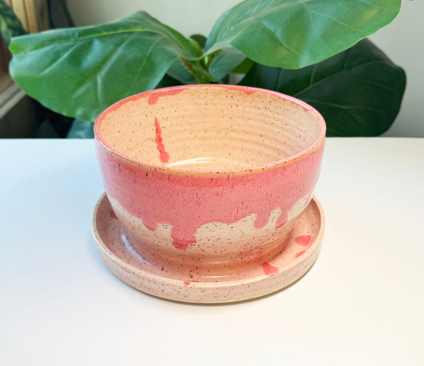 7 in Pink on Blush Planter