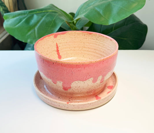 7 in Pink on Blush Planter