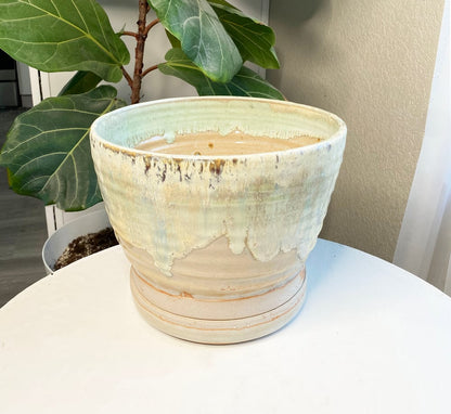 Sea foam Planter