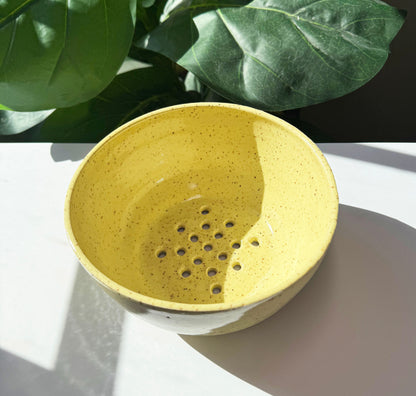 Family Size Berry Bowl